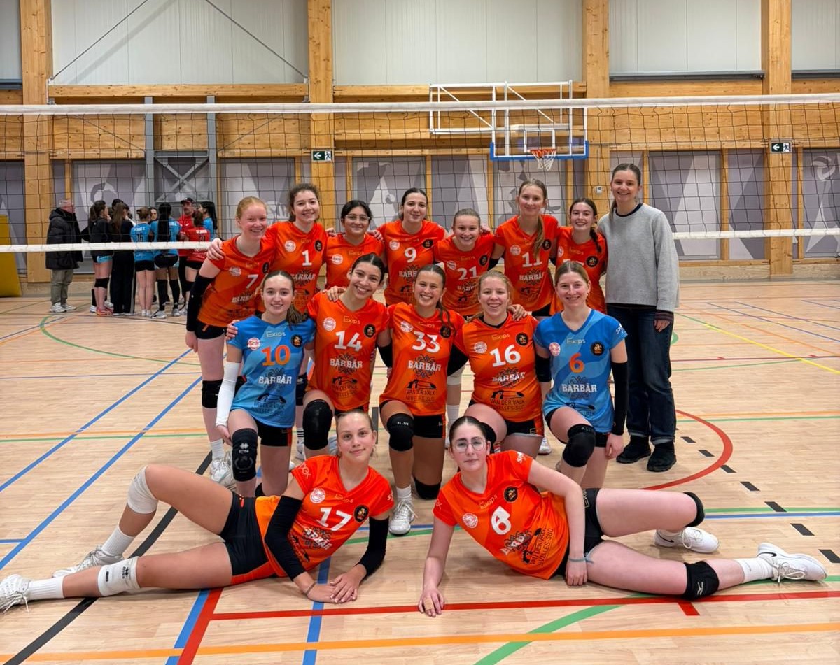 Barbãr Teams Ixelles Volley Club